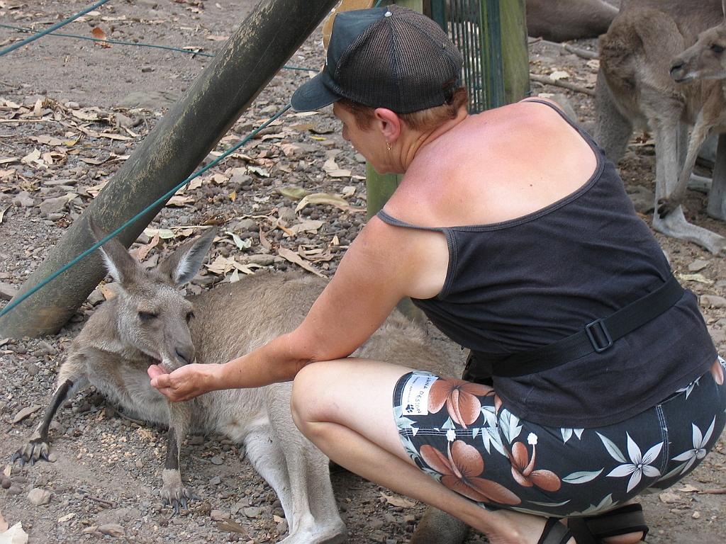 CairnsTC192 Cairns Tropical Zoo.jpg
